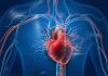 Common Link Between Diabetes, Heart Disease & Stroke