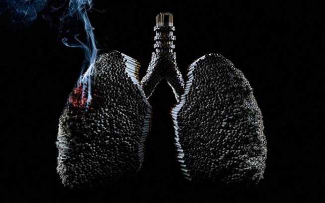 Smoking & Lung Cancer